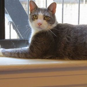 Meet your Posher, Liz